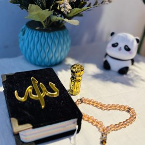 মিনি কোরআন কম্বো